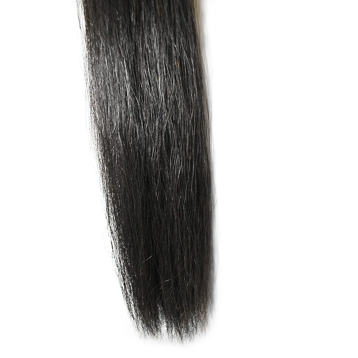 Custom Braider's Choice Tail Extensions