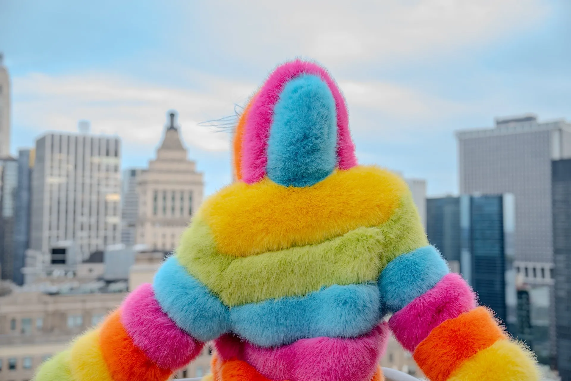 Over The Rainbow Faux Fur Coat