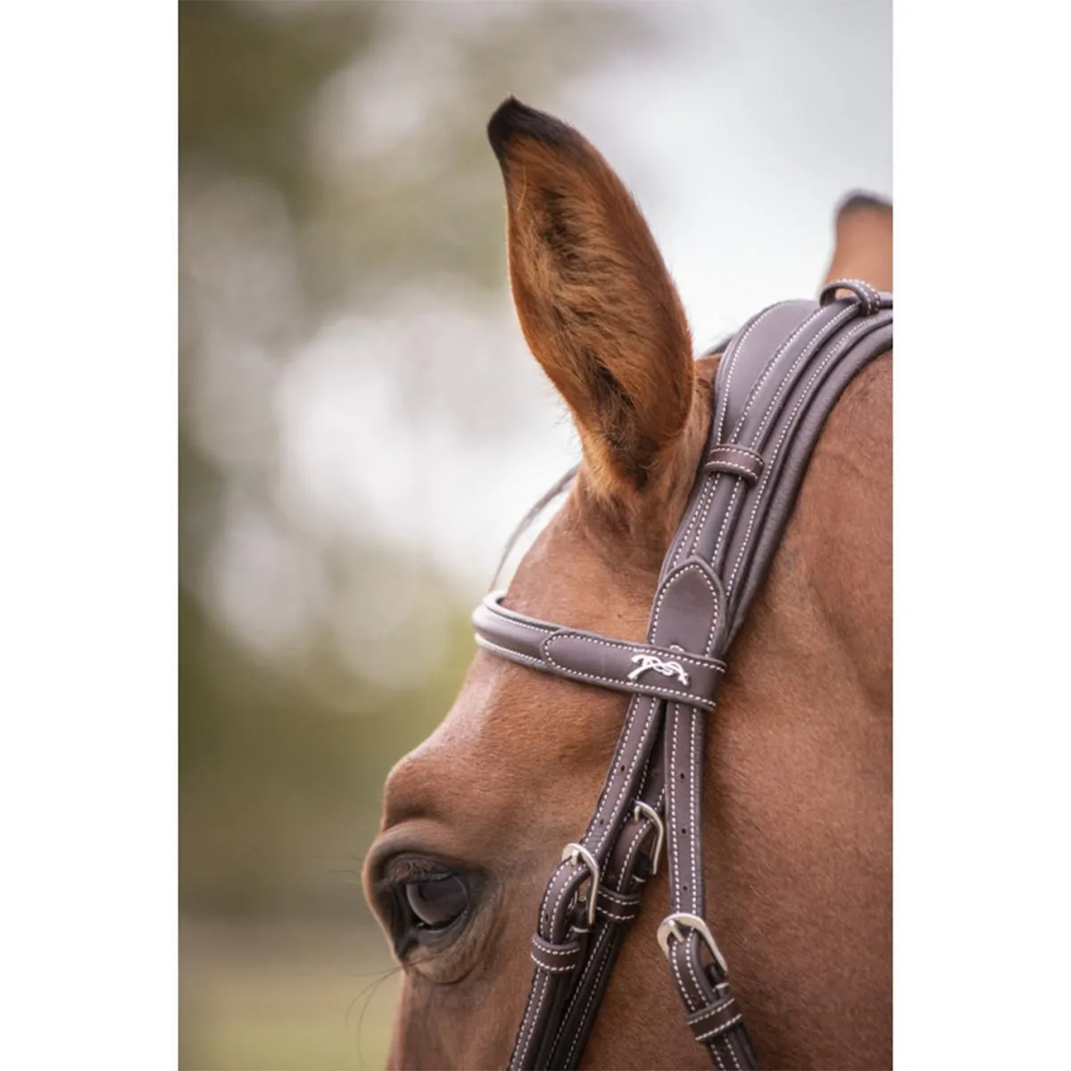 Penelope Elegance Bridle
